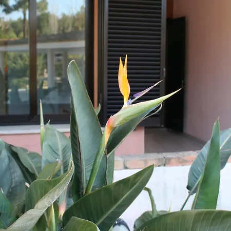 Aparthotel Verdemare Sardegna Uno Villasimius