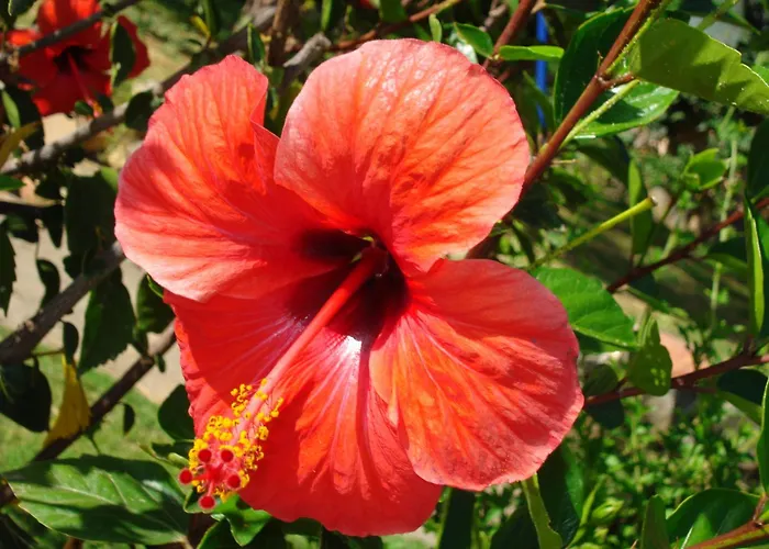 Lejlighedshotel Verdemare Sardegna Uno Villasimius